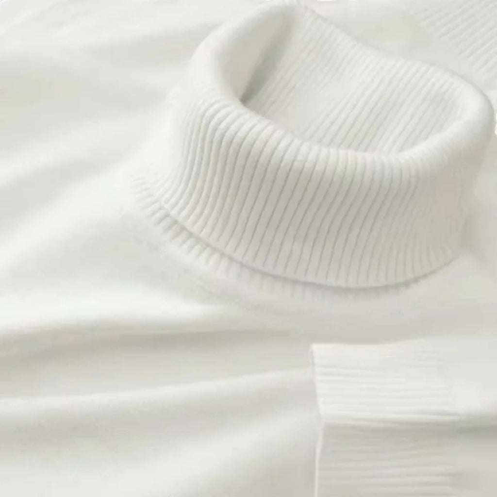 Lunéaya | Men's Roll-Neck Sweater